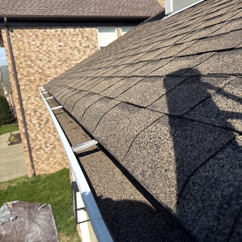 Asphalt shingle roof with gutter and ladder shadows