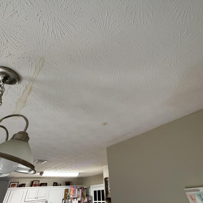 Ceiling water stains indicating possible leak source