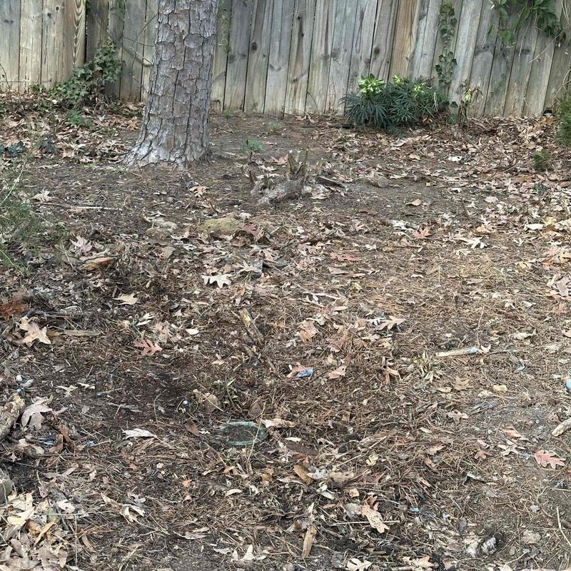 Underground pipe fitting replacement site in residential yard Underground pipe fitting replacement site in residential yard