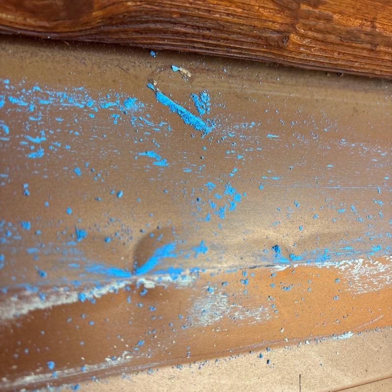 Hail-damaged asphalt shingle with paint chipping