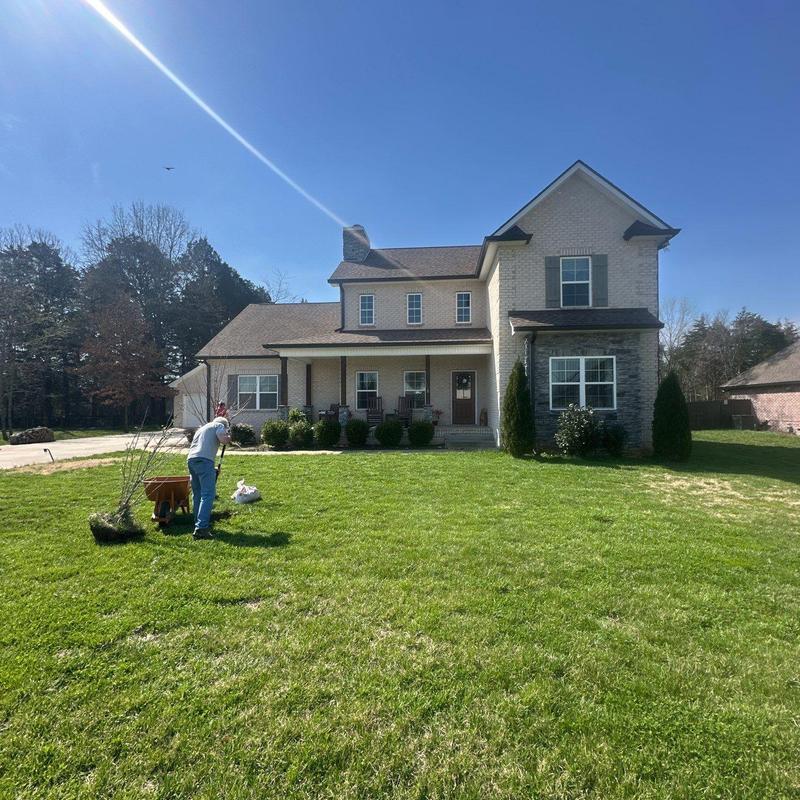 Lawn planting with wheelbarrow in front yard