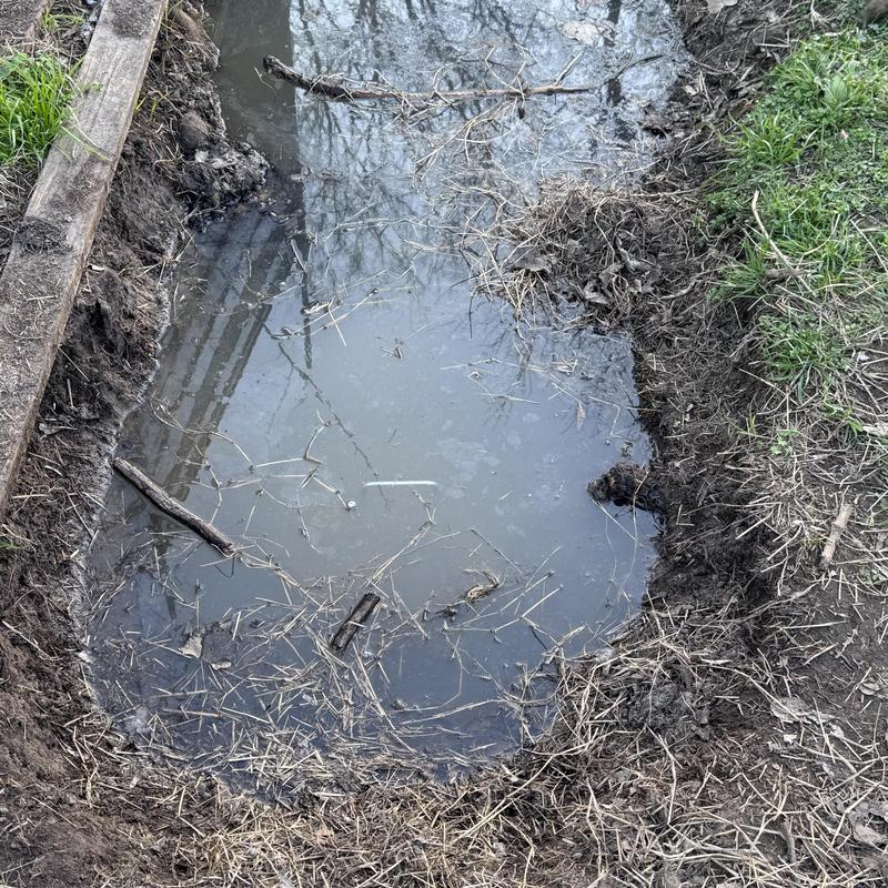 Septic lateral line leak with standing water in soil