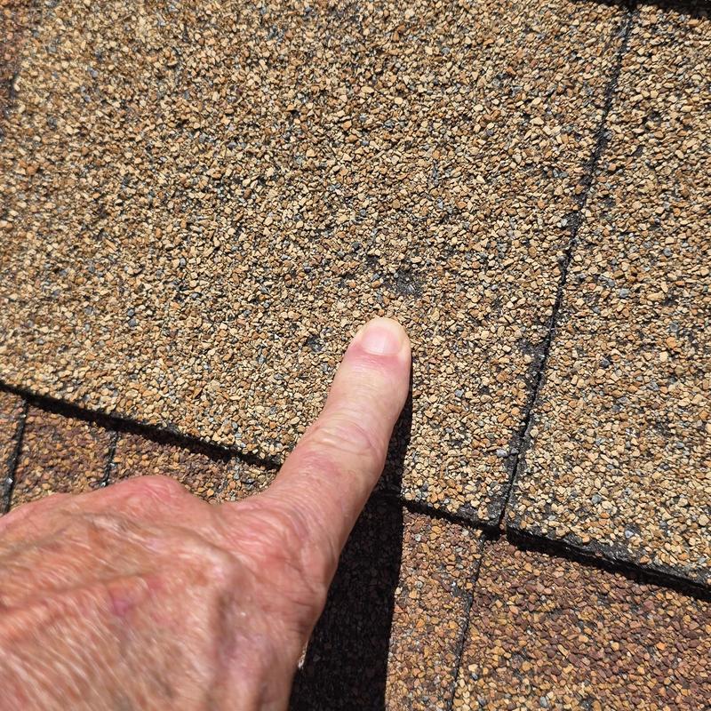 Asphalt roof shingles with hail damage spot