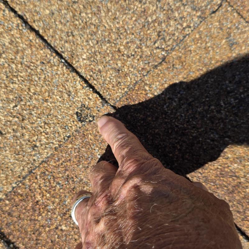 Asphalt shingle roof granule loss from hail damage