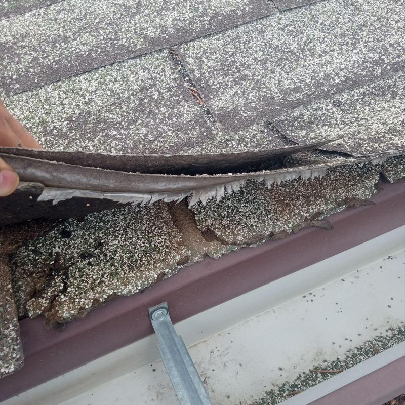 Shingle roof with lifted, deteriorating shingles near gutter Shingle roof with lifted, deteriorating shingles near gutter