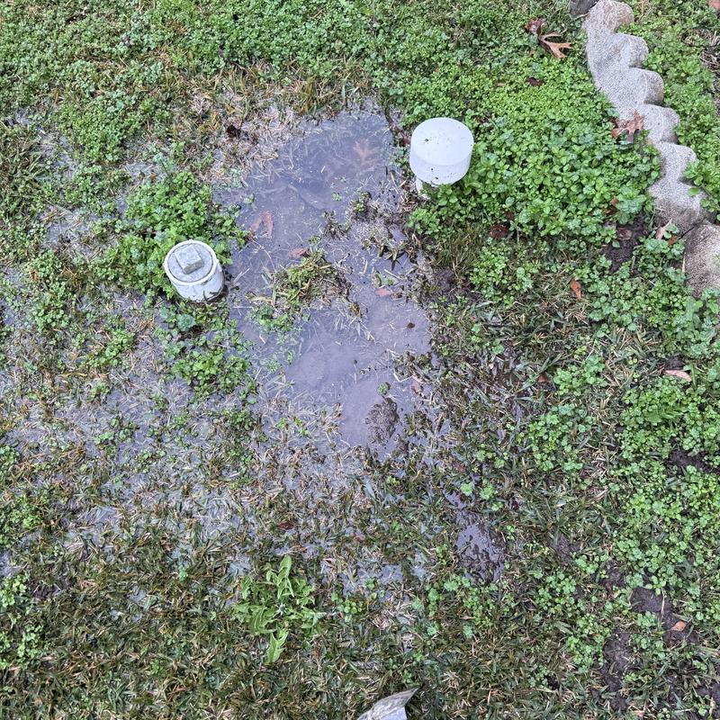 Water pipe leak with standing water in yard