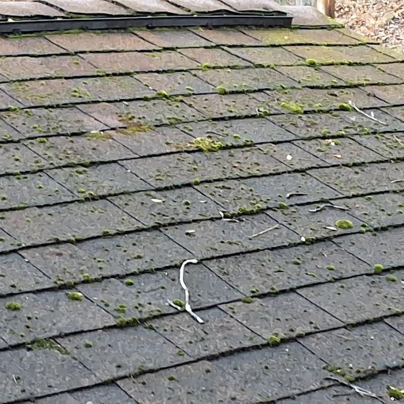 Asphalt roof shingles with moss growth and weathering