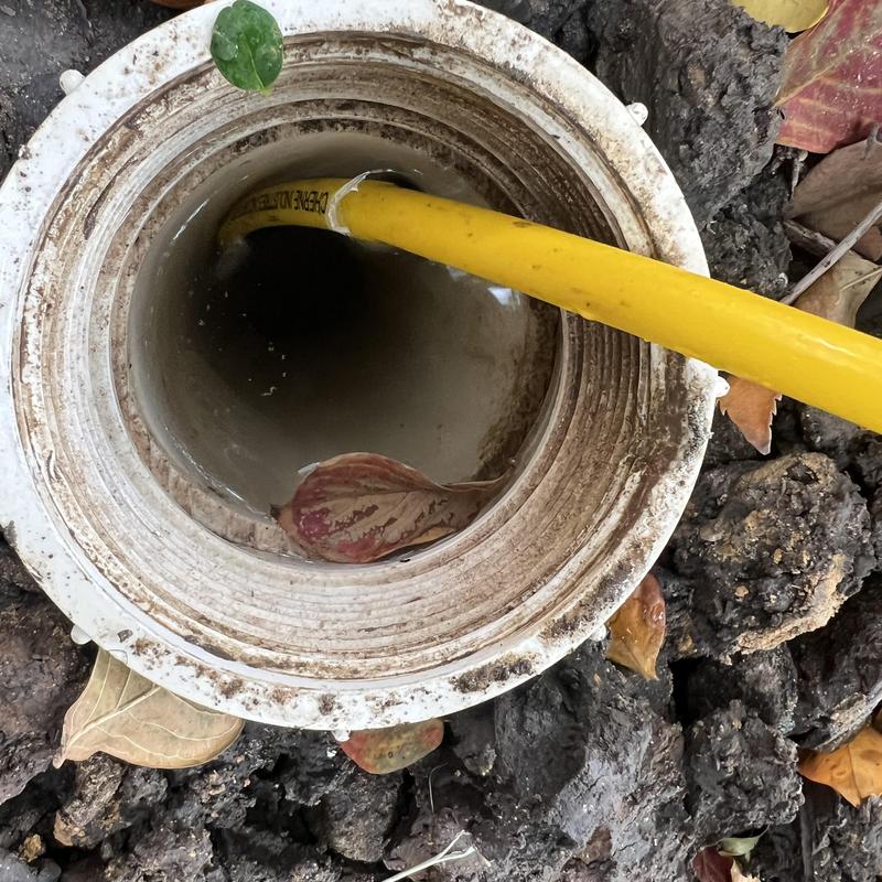 Sewer cleanout with inspection camera and yellow hose
