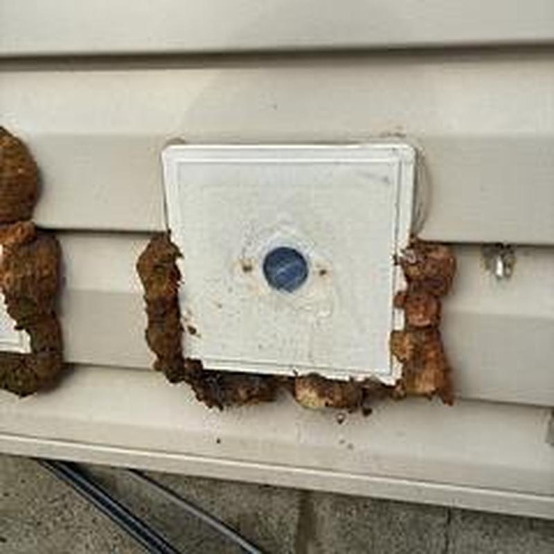 Outdoor hose faucet hole with silicone sealant applied