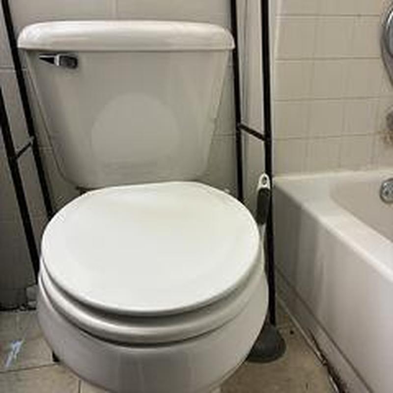 Mansfield ADA elongated toilet with seat installed