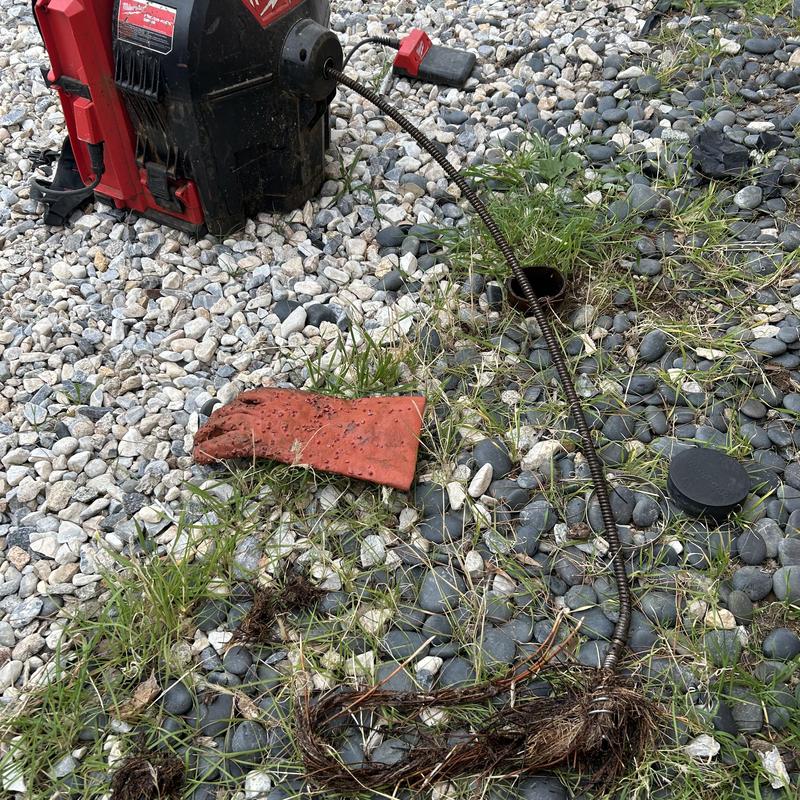 Sewer drain cable with removed tree roots outdoors