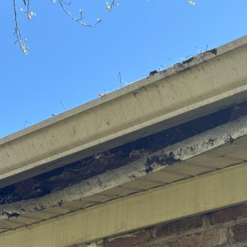 Wooden fascia board with water damage and debris buildup