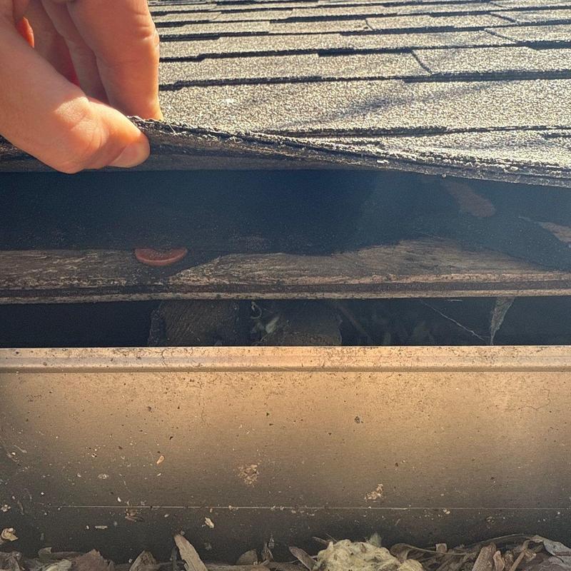 Roof shingle lifted showing wood decking underneath