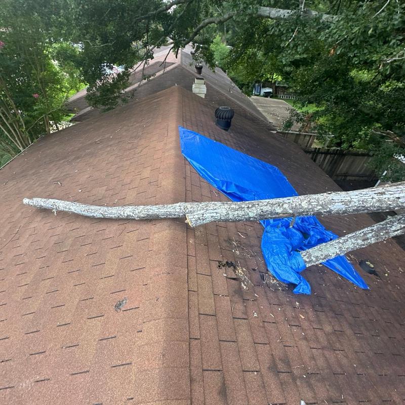 Roof shingles with fallen tree branch and tarp covering