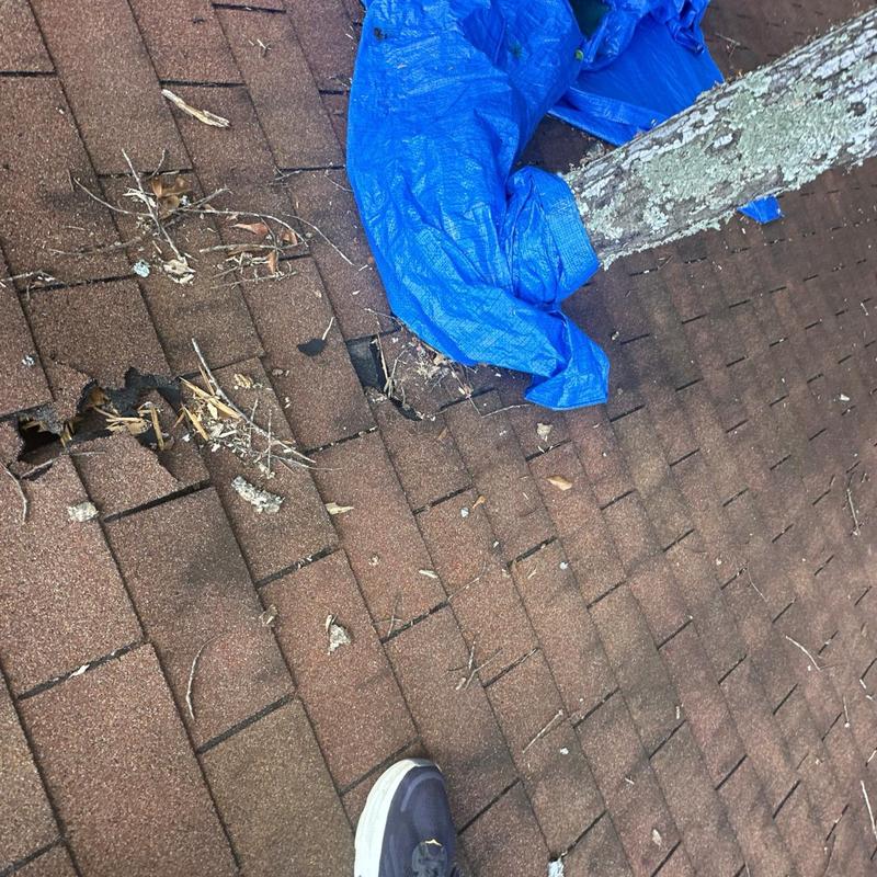 Roof shingles with tree branch penetration and damage