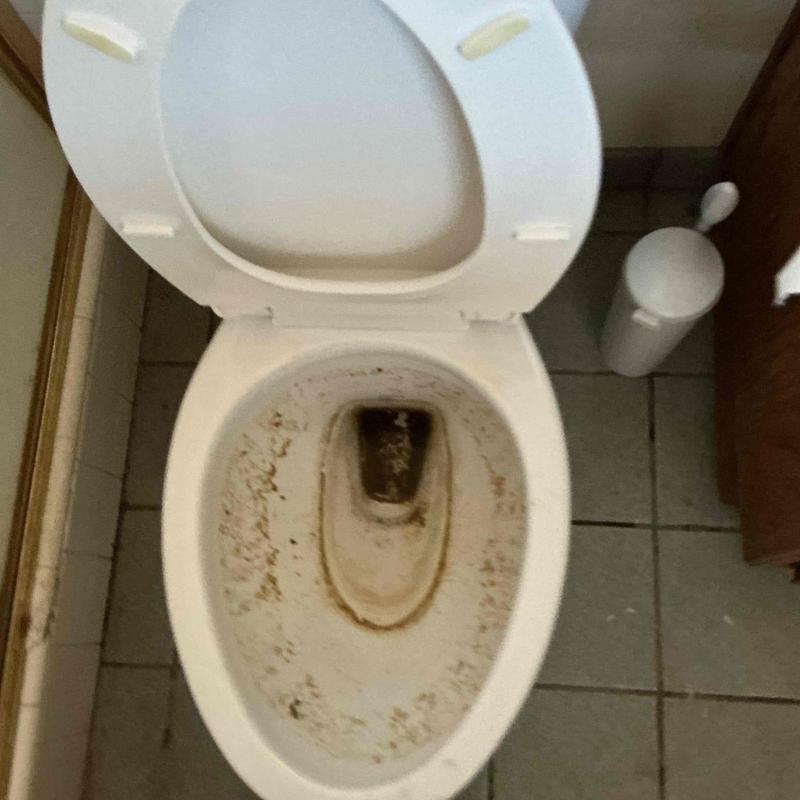 Toilet bowl with heavy staining and open lid