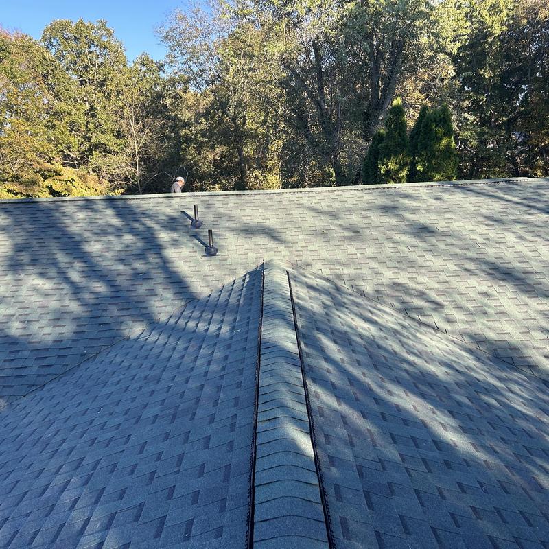 Woodland Green shingle roof with ridge vent detail