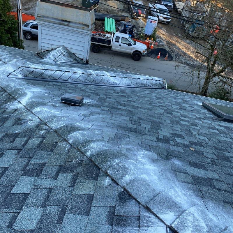 Asphalt shingle roof with moss treatment powder applied