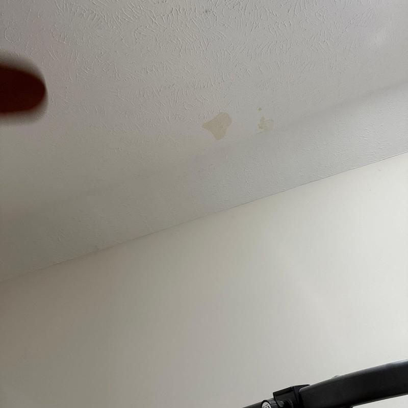 Ceiling water stains from possible leak damage