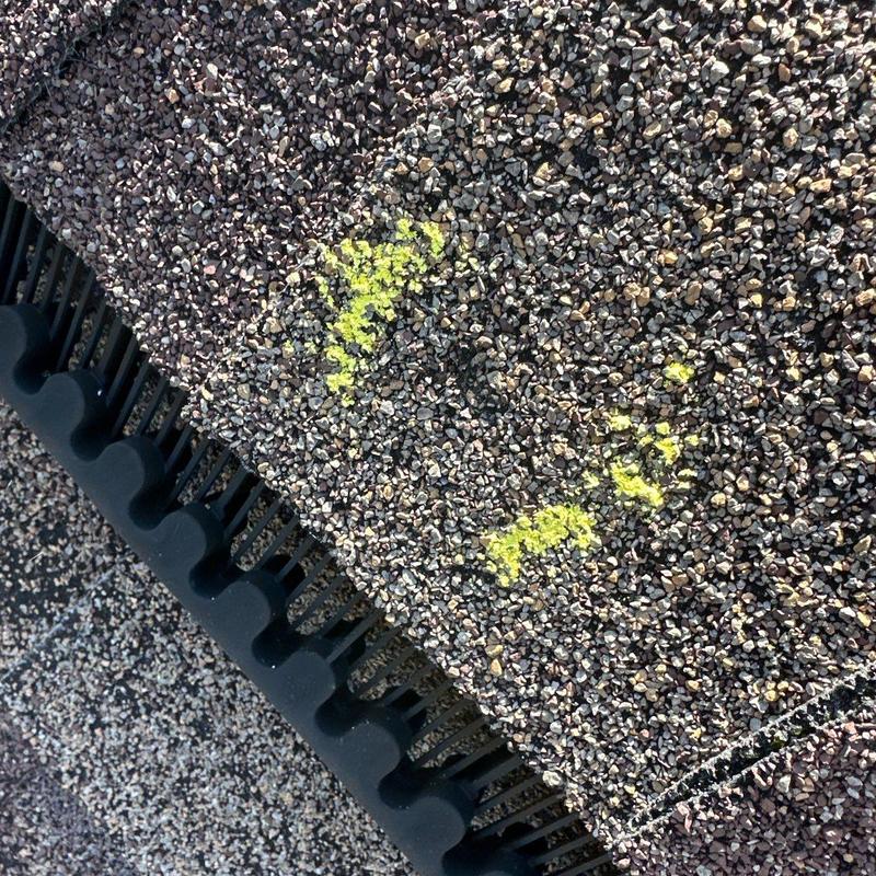 Roof shingles with yellow hail damage markings