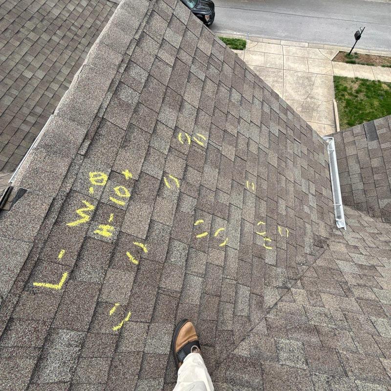 Asphalt shingle roof with marked hail damage areas