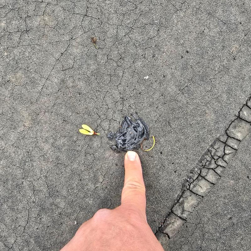 Flat roof membrane with cracked seams and debris Flat roof membrane with cracked seams and debris