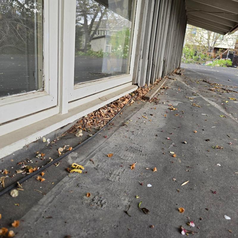 Flat roof seams around windowsill with debris buildup Flat roof seams around windowsill with debris buildup