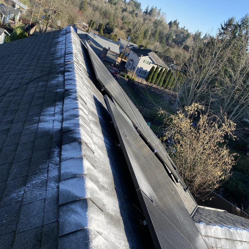 Ridge shingles with moss treatment on residential roof
