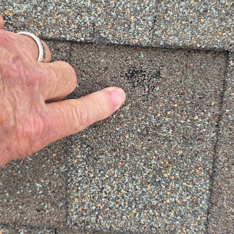 Asphalt shingle granule loss on roof panel