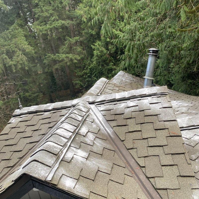 Asphalt shingle roof with moss treatment and debris cleaning