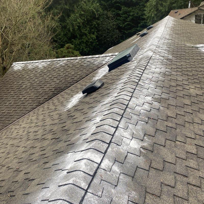 Asphalt shingle roof with moss treatment applied