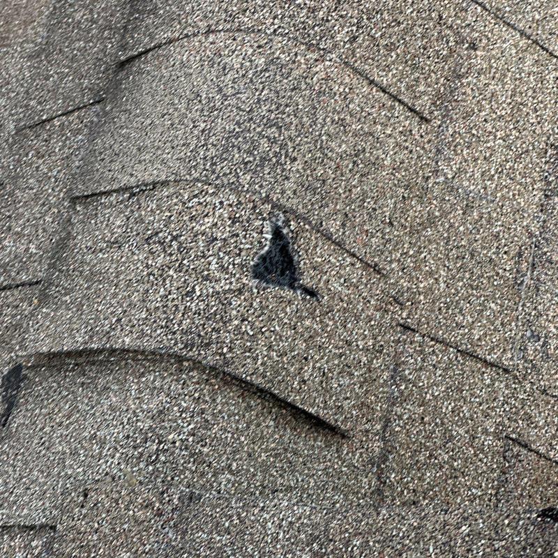 Roof shingles with hail damage and granule loss