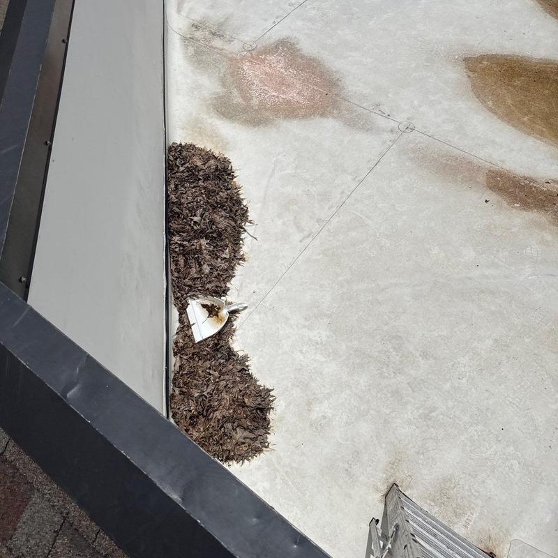 TPO roofing system with debris accumulation near wall