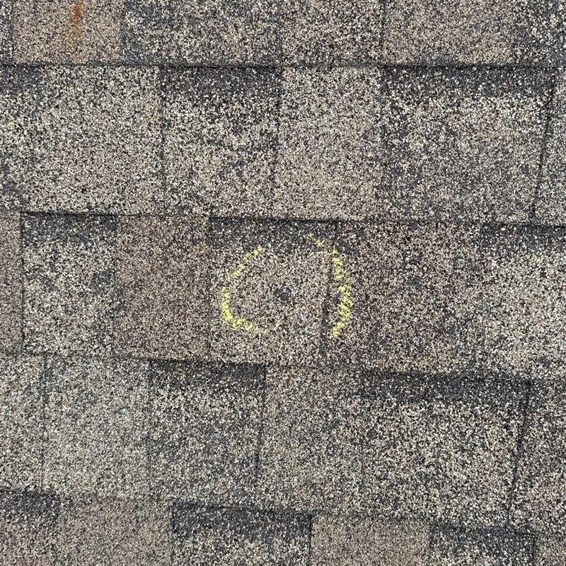 Asphalt roof shingles with hail damage circled in yellow