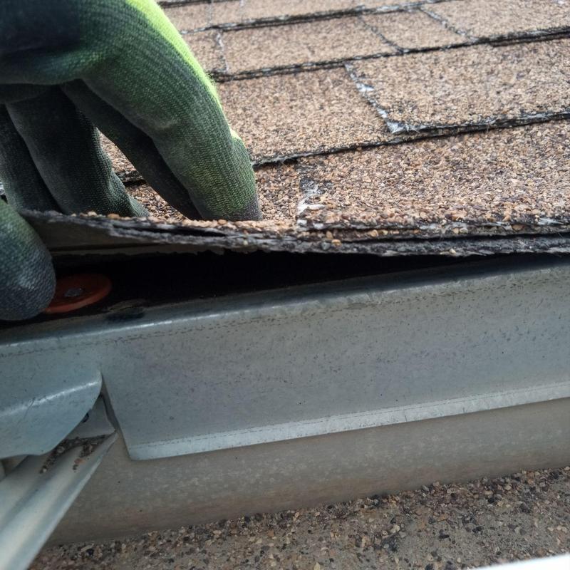Asphalt roof shingle damaged from hail with lifted edge Asphalt roof shingle damaged from hail with lifted edge