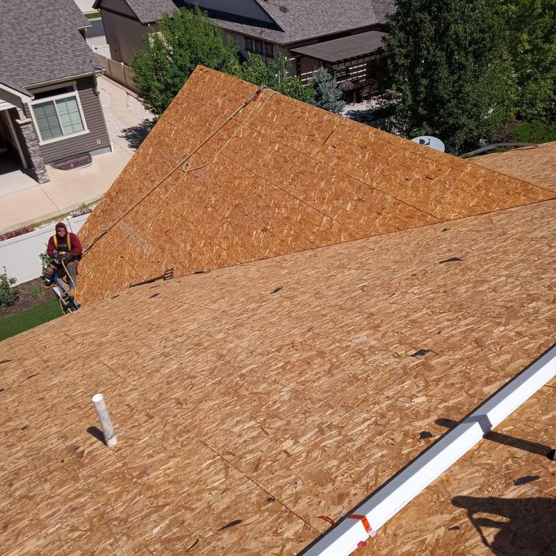 Roof sheathing replacement on residential house Roof sheathing replacement on residential house
