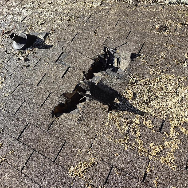 Roof shingles with hole and debris after tree damage
