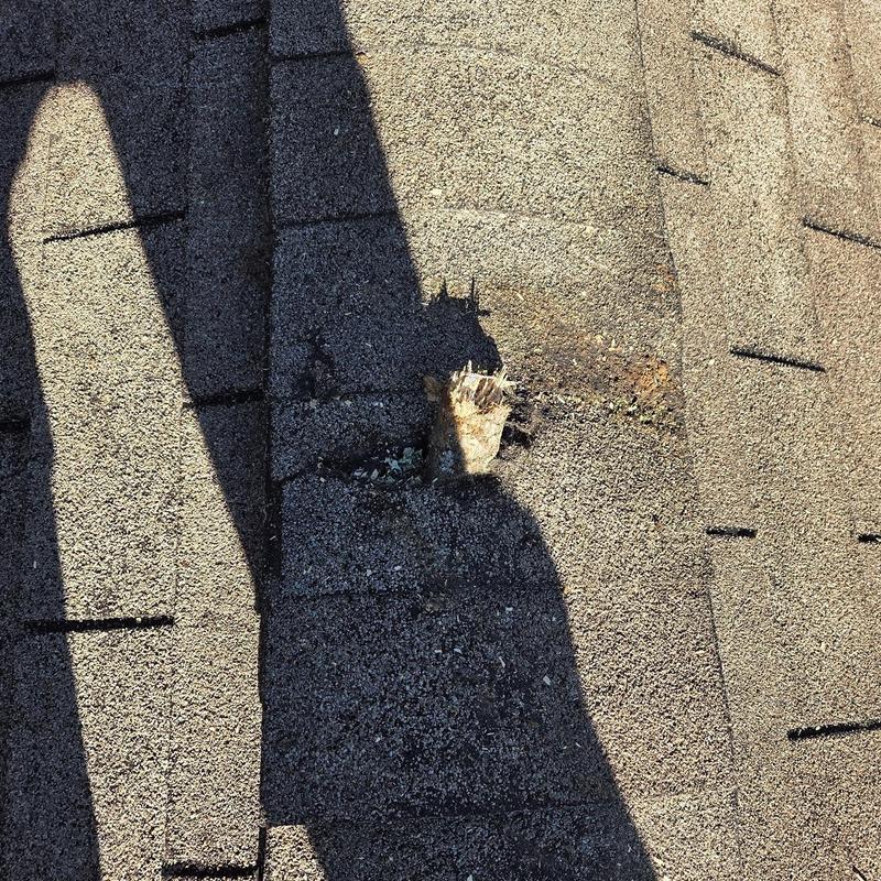 Shingles with torn roofing felt and damaged decking board