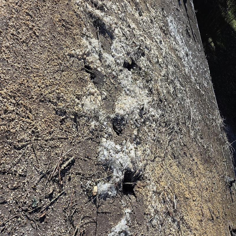 Damaged roof decking boards with debris and tarps