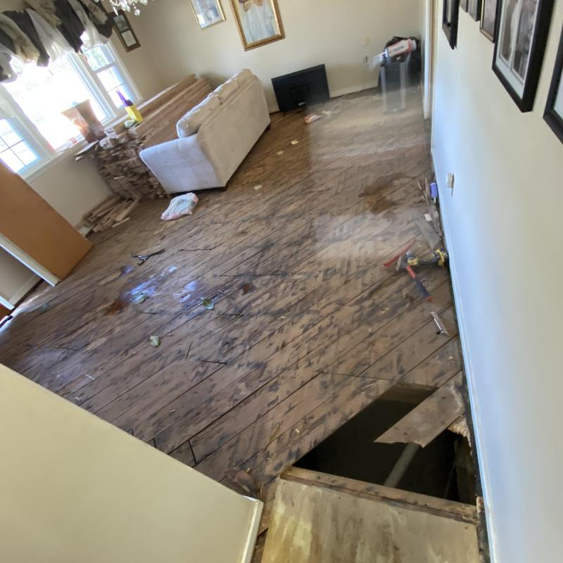 Subfloor removal with mold and water damage repair Subfloor removal with mold and water damage repair