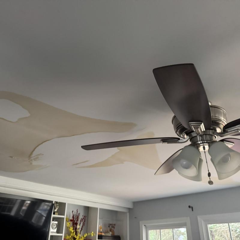 Ceiling water stains from roof leak inspection