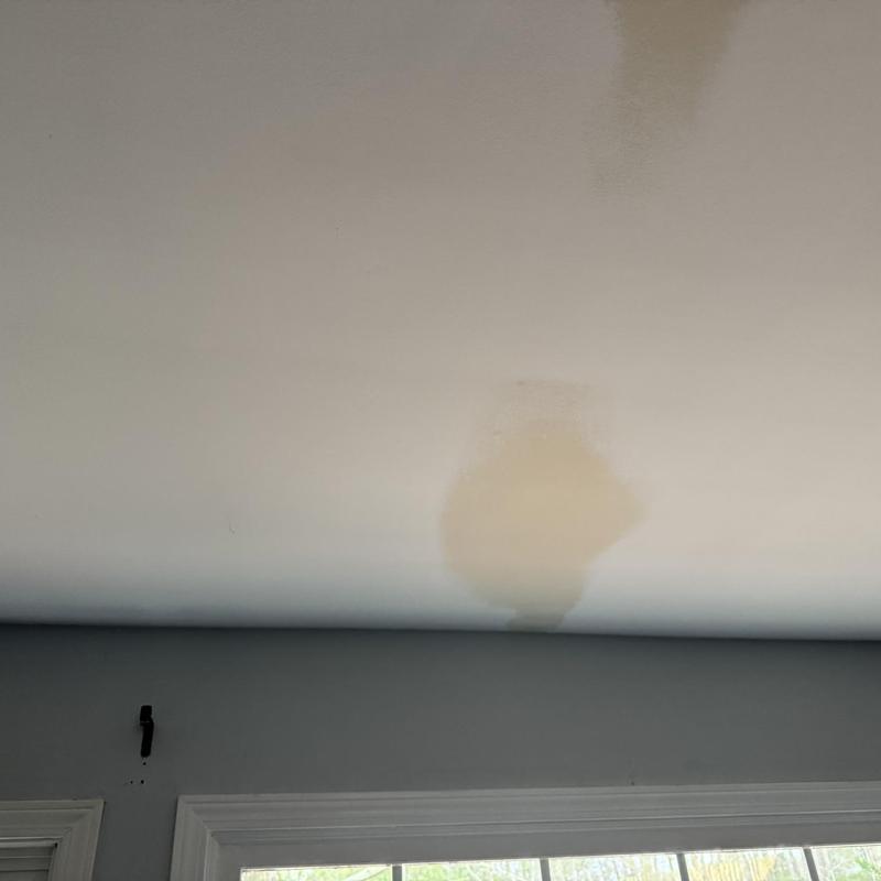 Ceiling water stain from potential roof leak