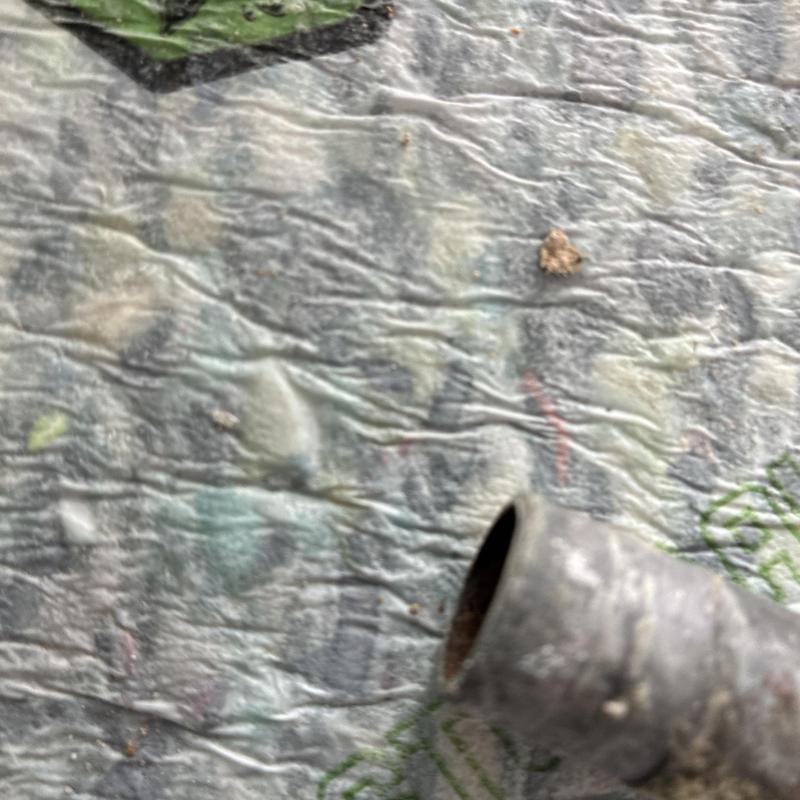 Iron hose bibb pipe with corrosion near side of home