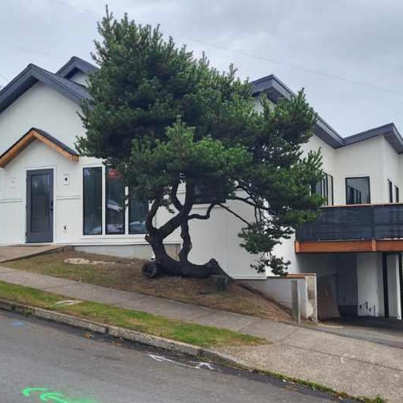 Hardie Panel siding with new soffits and paint exterior