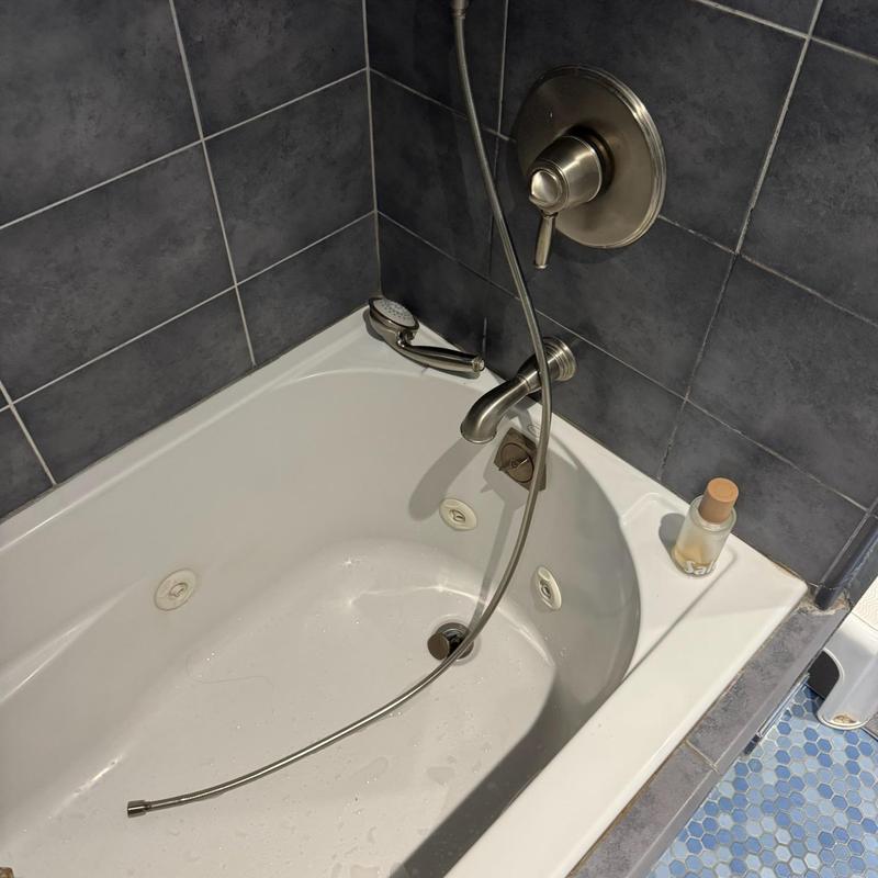 HansGrohe shower hose and bathtub faucet system