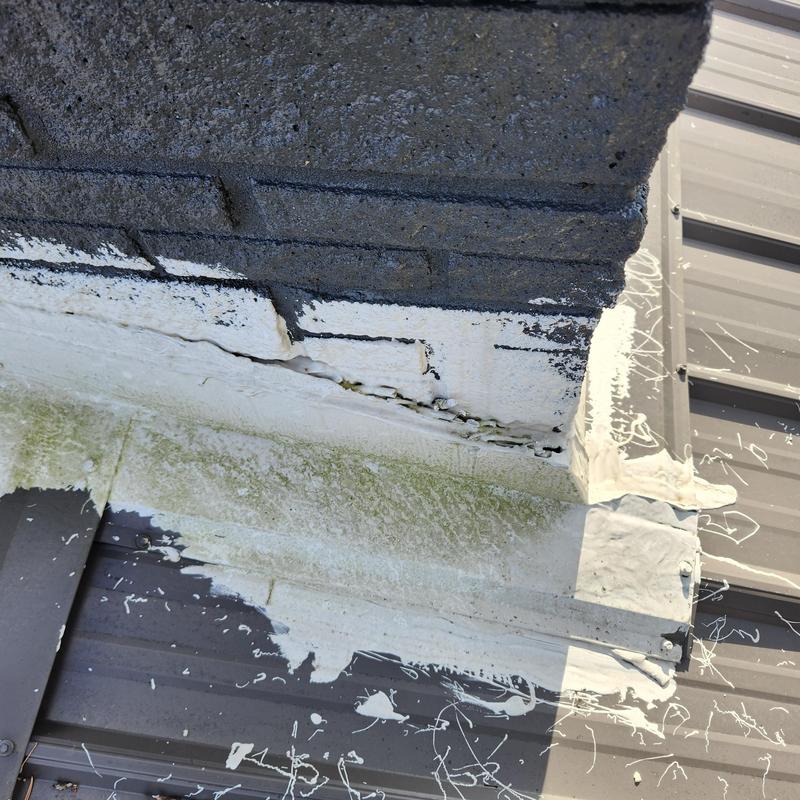 Metal roof corner with peeling paint and mold growth