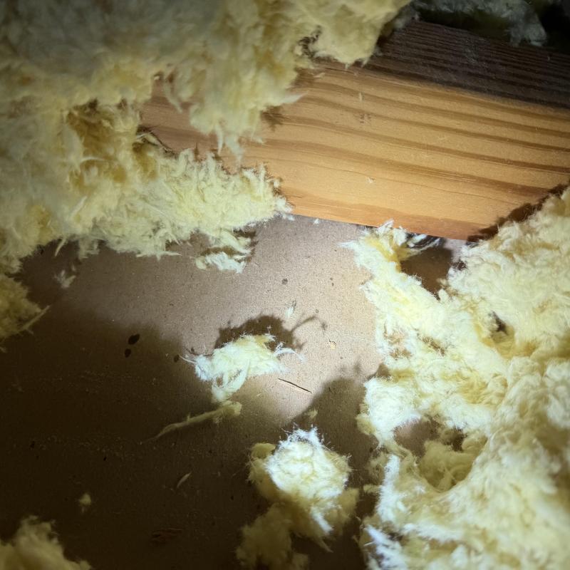 Ceiling drywall crack with attic insulation nearby