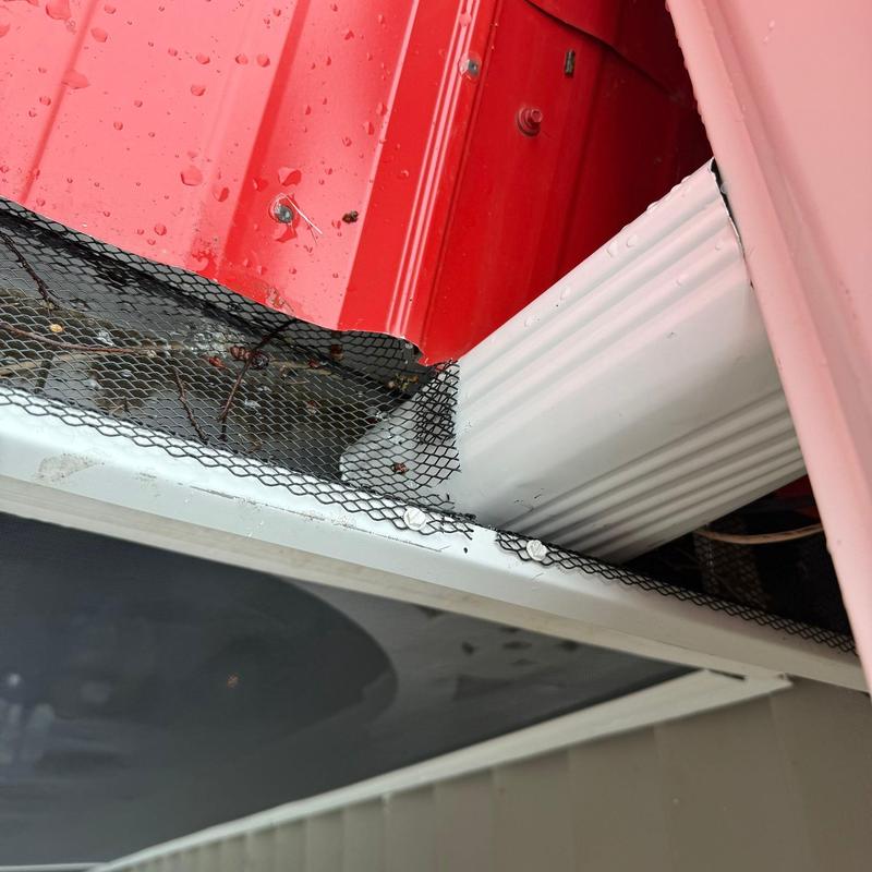 Gutter with mesh guard and red metal roof edge
