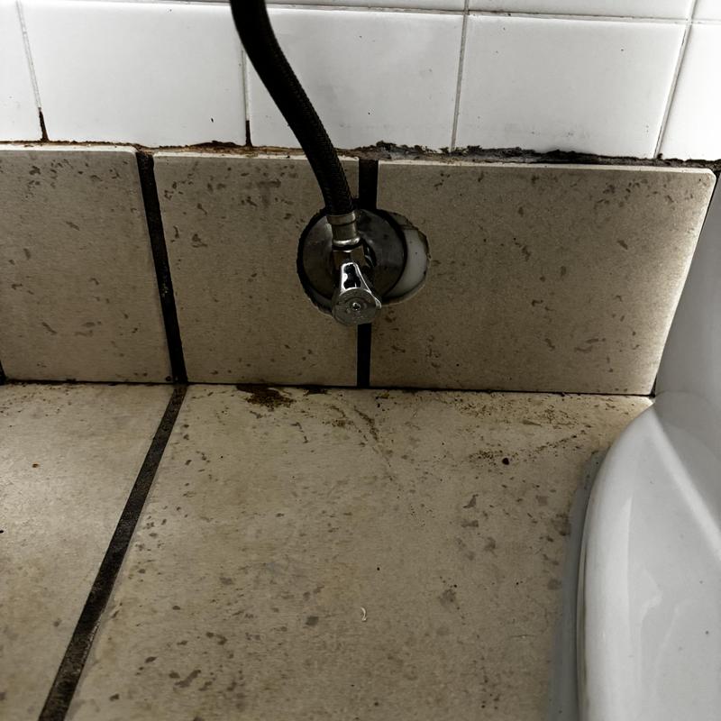 Angle stop valve and supply hose behind toilet bowl