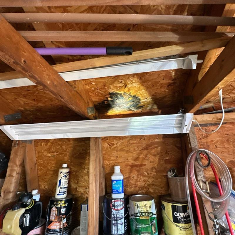 Shed ceiling with light fixture and water damage spot Shed ceiling with light fixture and water damage spot